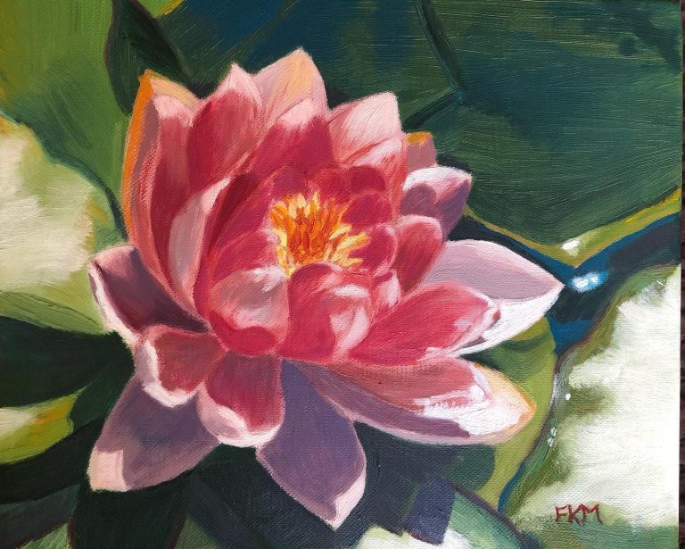 Vízililiom / Waterlily